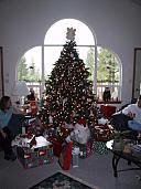 Peg & Rex's tree (89KB)